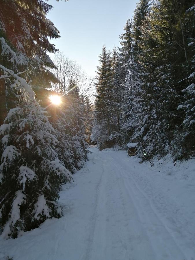 Bio-Bauernhof "Hecherhof" Thiersee Exteriör bild