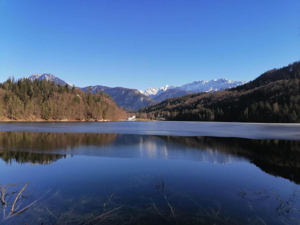 Bio-Bauernhof "Hecherhof" Thiersee Exteriör bild