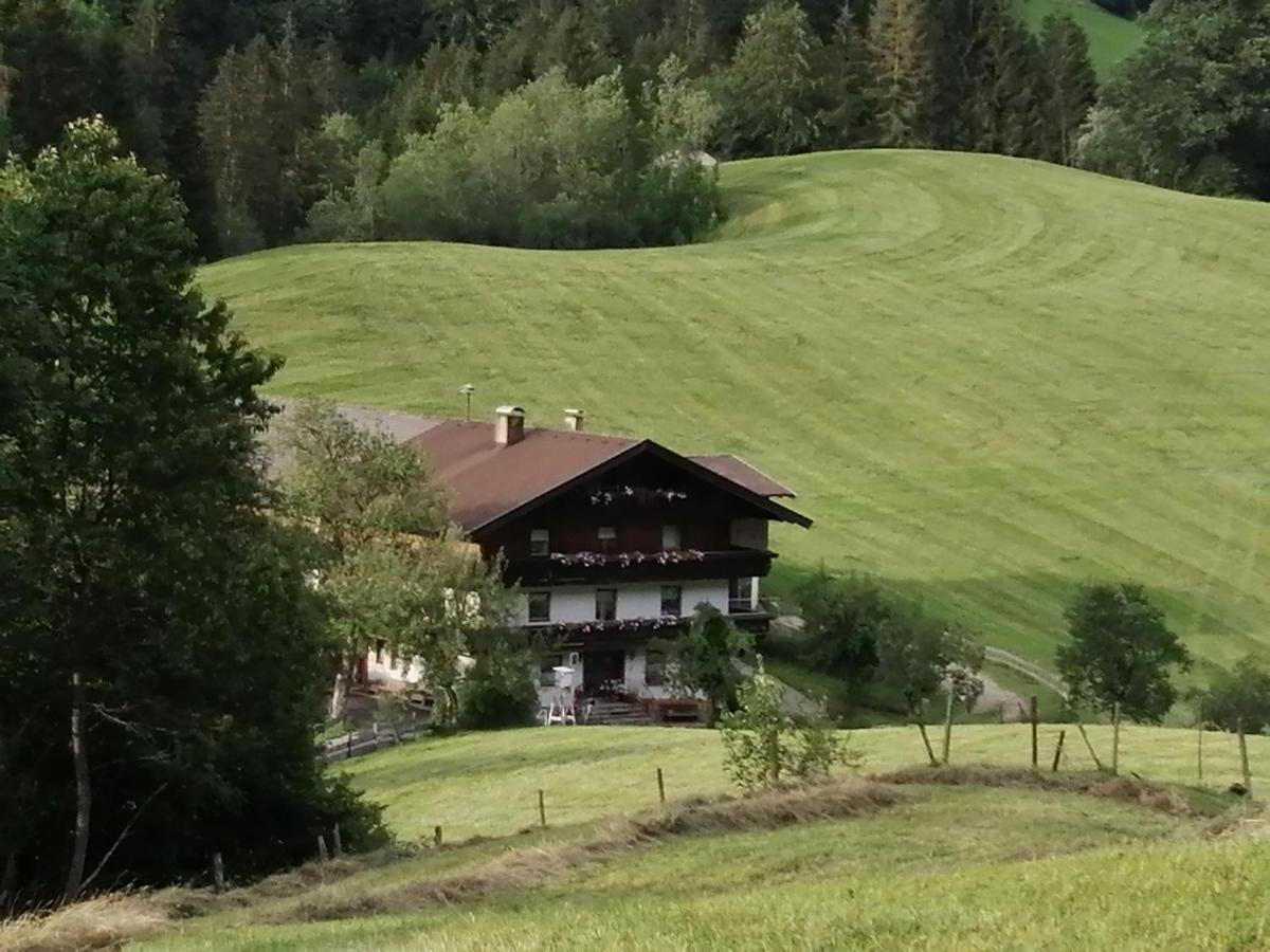 Bio-Bauernhof "Hecherhof" Thiersee Exteriör bild