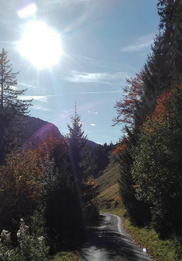 Bio-Bauernhof "Hecherhof" Thiersee Exteriör bild